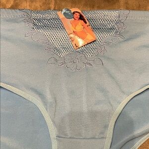 Chic Light Blue Lace Women's Panties